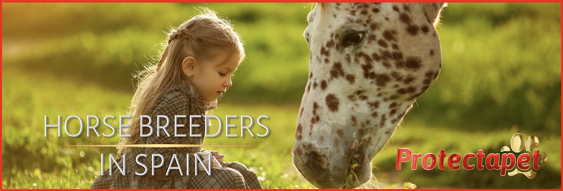 horse breeders in Spain depicted by a horse nuzzling a young girl sitting on the grass in Sunshine.